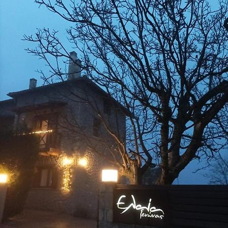 Guesthouse Elaia Синикия-Меси-Трикала Экстерьер фото