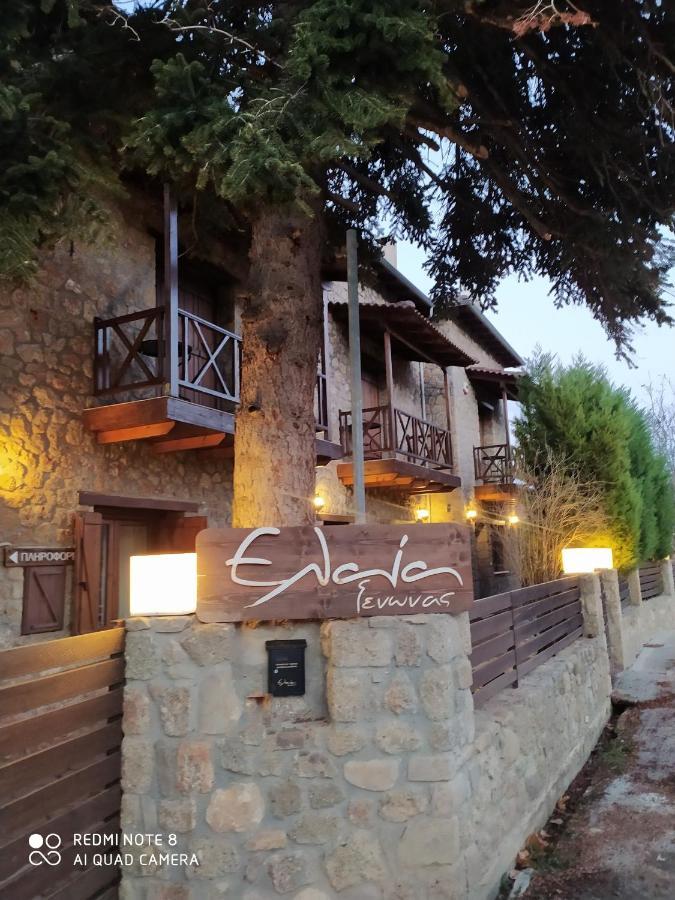 Guesthouse Elaia Синикия-Меси-Трикала Экстерьер фото