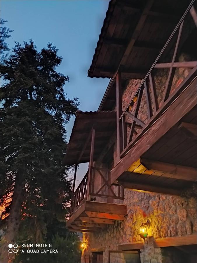 Guesthouse Elaia Синикия-Меси-Трикала Экстерьер фото
