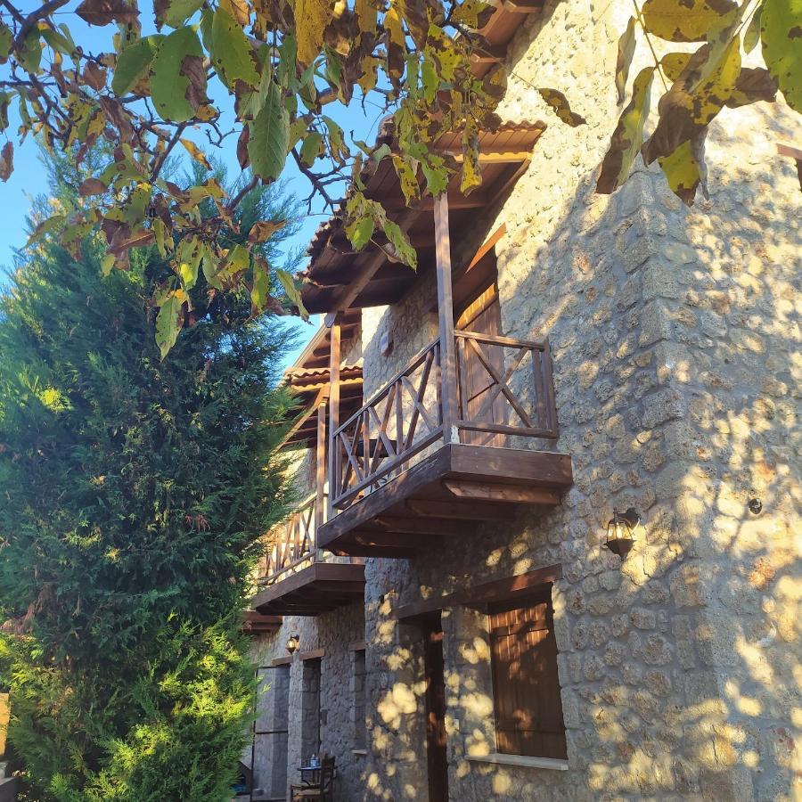 Guesthouse Elaia Синикия-Меси-Трикала Экстерьер фото