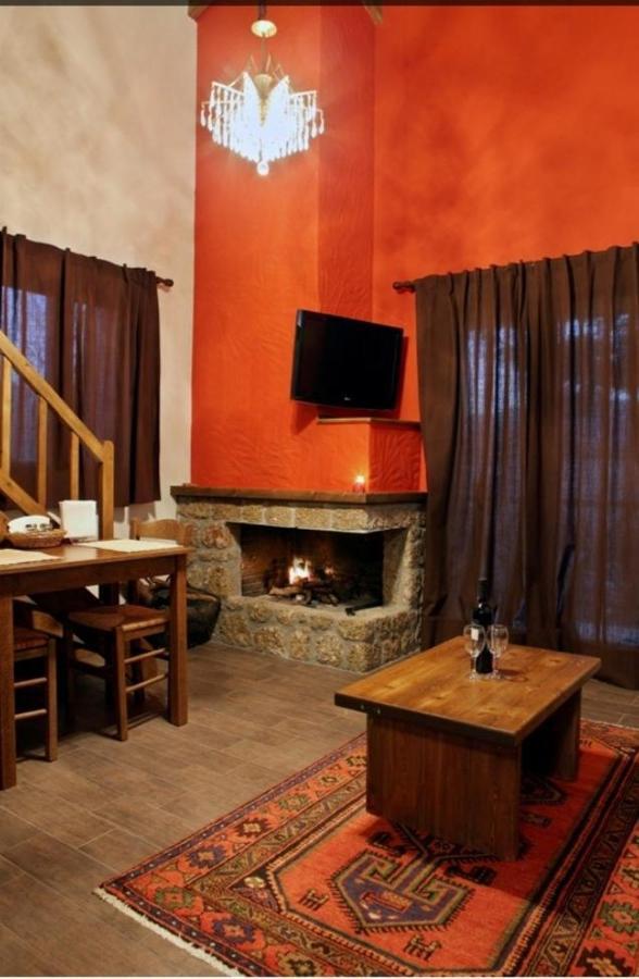 Guesthouse Elaia Синикия-Меси-Трикала Экстерьер фото