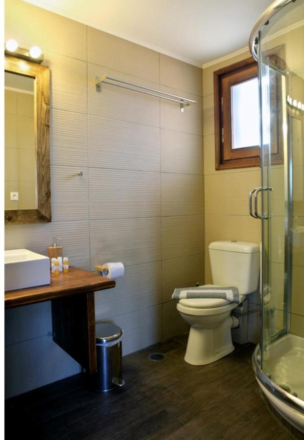Guesthouse Elaia Синикия-Меси-Трикала Экстерьер фото