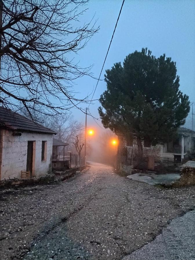 Guesthouse Elaia Синикия-Меси-Трикала Экстерьер фото