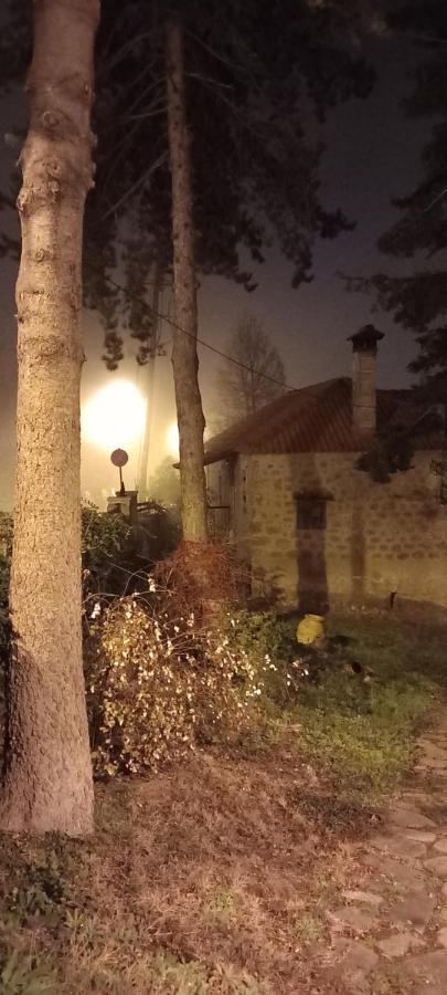 Guesthouse Elaia Синикия-Меси-Трикала Экстерьер фото