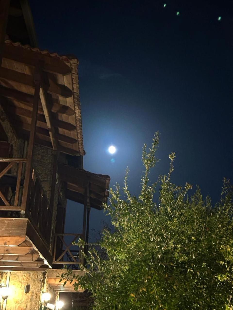 Guesthouse Elaia Синикия-Меси-Трикала Экстерьер фото