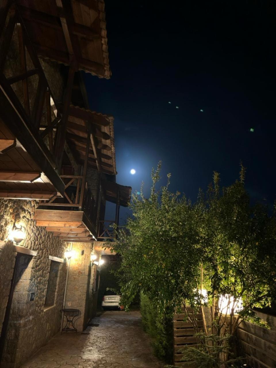 Guesthouse Elaia Синикия-Меси-Трикала Экстерьер фото