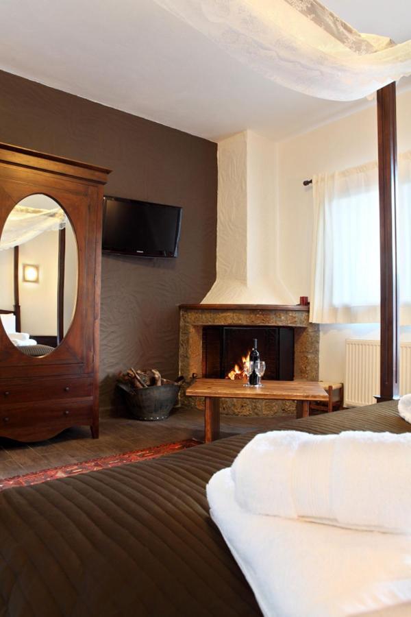 Guesthouse Elaia Синикия-Меси-Трикала Экстерьер фото