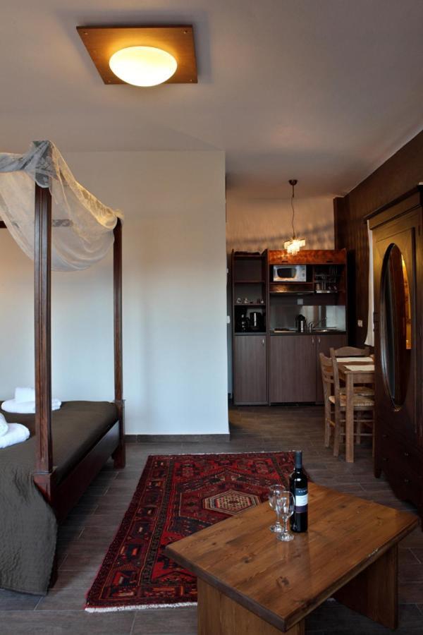 Guesthouse Elaia Синикия-Меси-Трикала Экстерьер фото